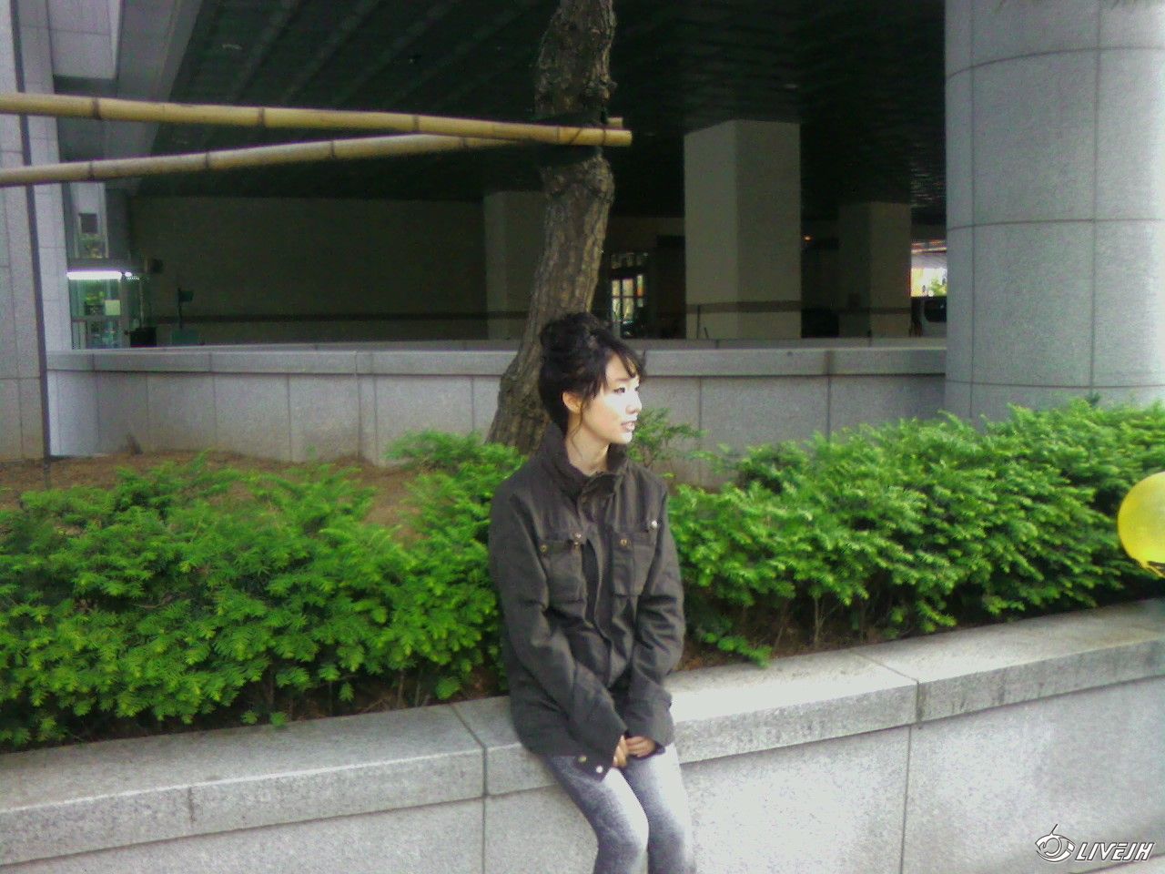 ����Ƭ�ġ�